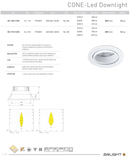 (ZONE-Led Dovvniight