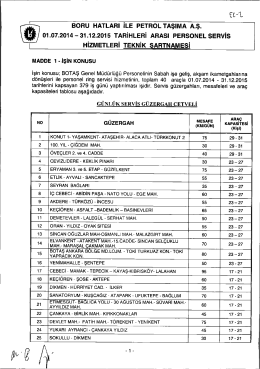 BORU HATLARı iLE PETROL TAŞIMA A.ş. 01.07.2014