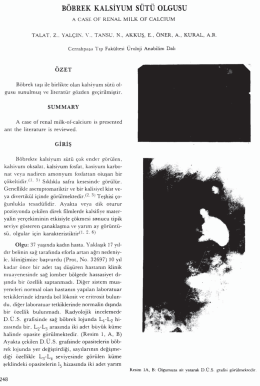 Tam Metin (PDF)