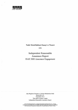 Independent Assurance Report 2013