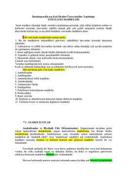 İdealistgenclik.org Ka&uuml; İdealist &Uuml;niversiteliler Topluluğu YEM KATKI