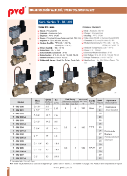 Buhar Solenoid Valfler