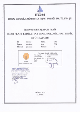 Edirne-Merkez Çokalca Mah. Pafta:131 Ada:724 Parsel:6