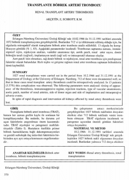 Tam Metin (PDF)