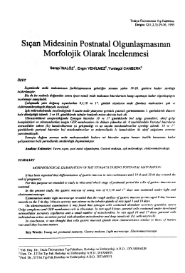 Full Text (PDF) - Balkan Medical Journal