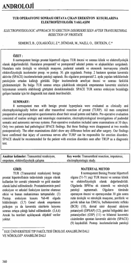 Tam Metin (PDF)