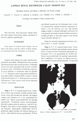 Tam Metin (PDF)