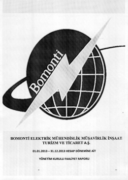 2013 Y&ouml;netim Kurulu Faaliyet Raporu