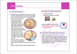 Anne S&uuml;t&uuml; Broş&uuml;r