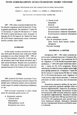 Tam Metin (PDF)