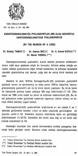 Full Text (PDF)