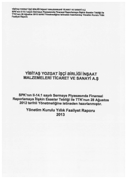 2013 faaliyet raporu