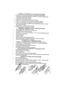 FEMORAL LİFT FİXATİON (BUTTON) TEKNİKSARTNAMESİ