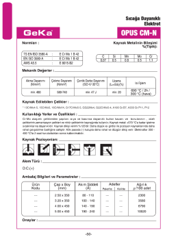 Sıeağa Dayanıklı Elektrot