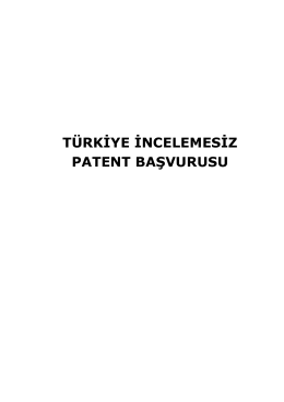 Patent Destek Projesi