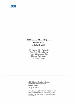 30/06/2014 tarihli Finansal Tablolar veTamamlayıcı Dipnotlar