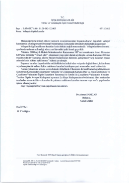 Velayete İlişkin Kararlar