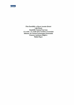 Fiba Emeklilik ve Hayat Anonim Şirketi Likit Esnek Emeklilik Yatırım