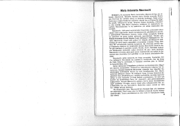 Hegemonya, Tarihi Blok, Devlet 1