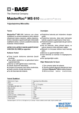 MasterRoc® MS 610 (Eski adı MEYCO® MS 610