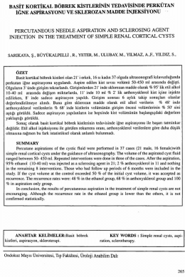Tam Metin (PDF)