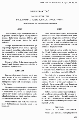 Tam Metin (PDF)