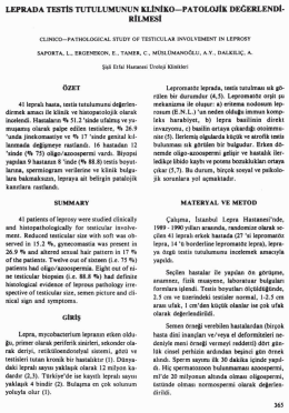 Tam Metin (PDF)