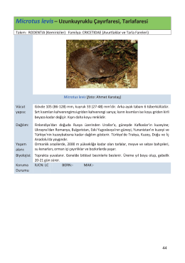 Yalova İlinin Memeli Faunası Kitabı 2