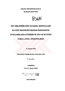 s&uuml;T DİŞLERİNİN K&Ouml;K vE KANAL MoRFoLoJİsİ İLE K&Ouml;K