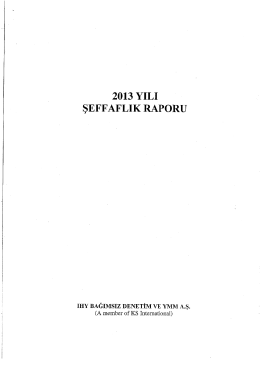 2013 yılı şeffaflık raporu