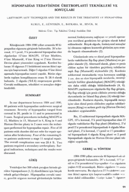 Tam Metin (PDF)