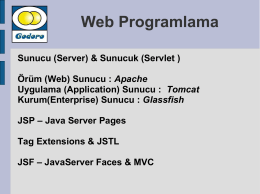 Web Programlama