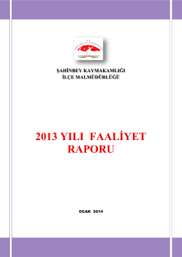 2013 yılı faaliyet raporu