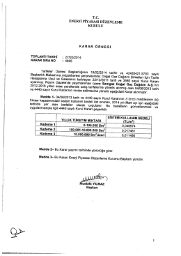 T.c. ENERJİ PİYAsAsI DÜZENLEME KURULU