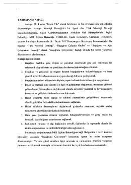 YARIŞMANIN AMACI Avrupa, 2014 yılını “Beyin Yılı” olarak