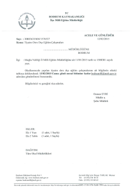 Tiyatro Ders Dışı Eğitim Çalışmaları (Acele ve Günlü)