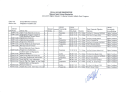 İlk&ouml;ğretim - Sosyal Bilimler Enstit&uuml;s&uuml;