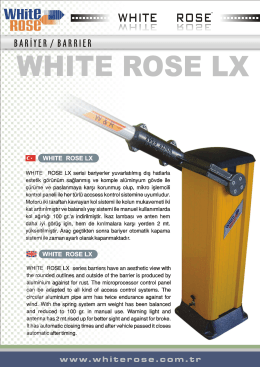 i ITE ROSE LX