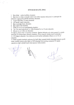 s&Uuml;TURs/GSPAT&Uuml;LİPEK