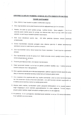 İhale ile ilgili dosyayı indirmek için tıklayınız