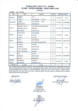 nisan ayı denetim planı