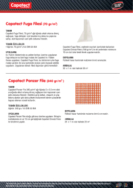Capatect Fuga Filesi (70 gr/mzı