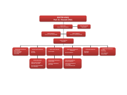 idari organizasyon şeması