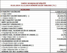 2014 Gelir Tablosu
