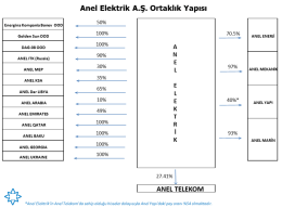 Anel Elektrik A.Ş. Ortaklık Yapısı