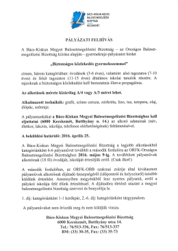 PÁLYÁZATI FELHíVÁS