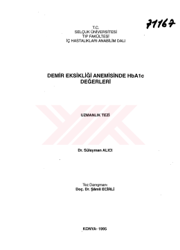 G&ouml;ster/A&ccedil; - Sel&ccedil;uk &Uuml;niversitesi Dijital Arşiv Sistemi