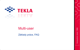 Multi-user basics CZ - Tekla User Assistance