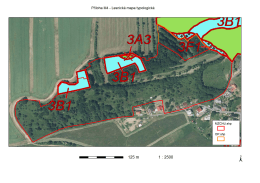 Příloha M4 - Lesnická mapa typologicka