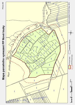 Fotografie na celou str&aacute;nku